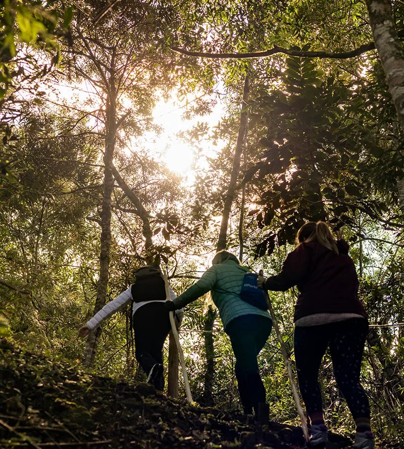 Hotel com Trilha e Contato com a Natureza Perto de Curitiba