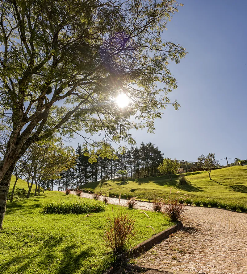 Hotel com Trilha e Contato com a Natureza Perto de Curitiba
